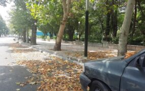 پاییز زودرس در تابستان تهران