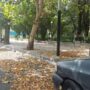 پاییز زودرس در تابستان تهران
