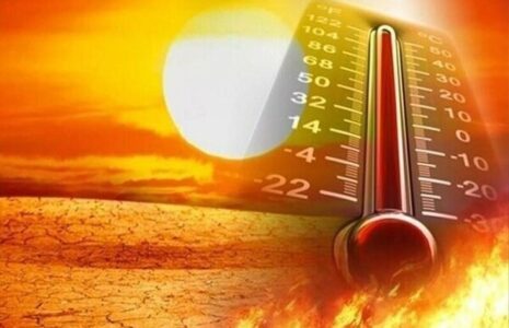 ابتکار جالب دولت چین برای مقابله با گرما+ فیلم گرمای هوا