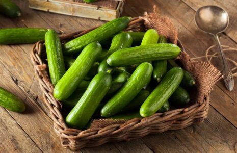 ۸ دلیل علمی برای اینکه خیار را بیشتر بخوریم خیار