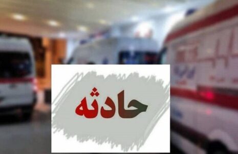 واژگونی مینی‌بوس