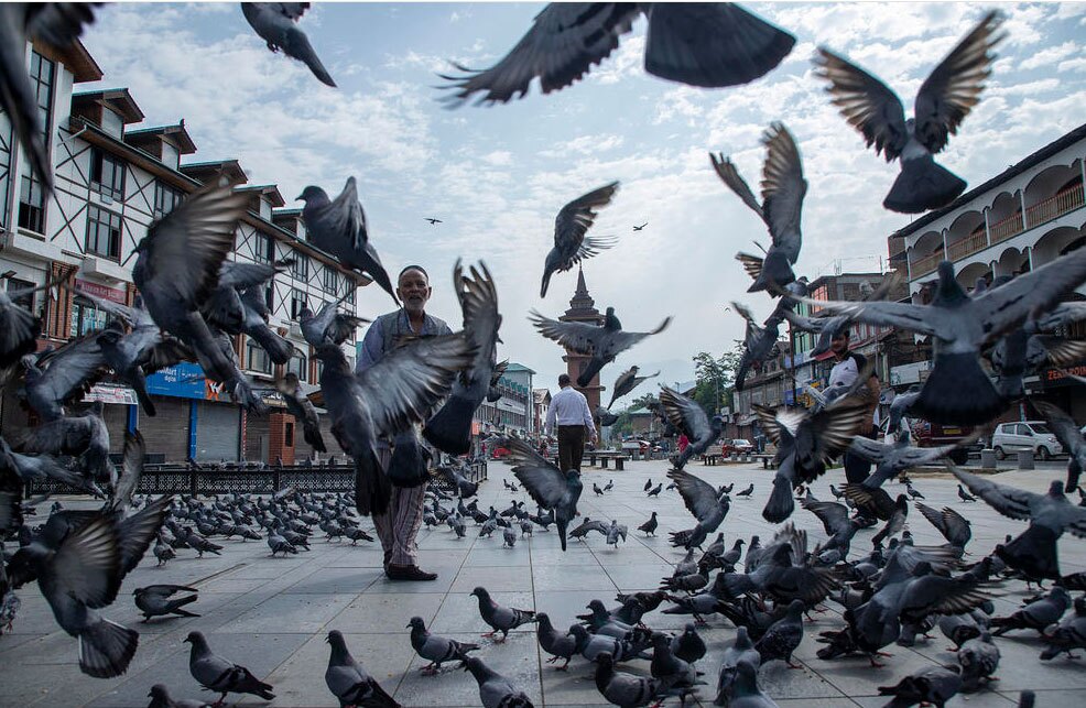 دیدنی های امروز؛ از هشتادمین سالگرد بمباران اتمی هیروشیما تا عشایر قرقیزستان دانه دادن به پرندگان در کشمیر