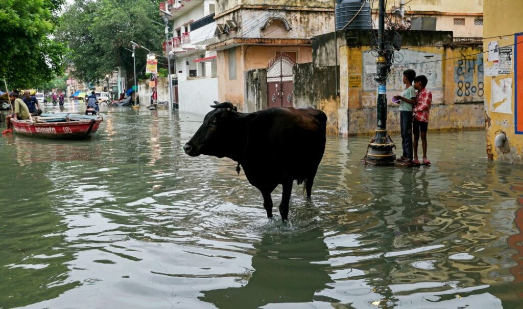 دیدنی های امروز؛ از هشتادمین سالگرد بمباران اتمی هیروشیما تا عشایر قرقیزستان سیل در واراناسی هند