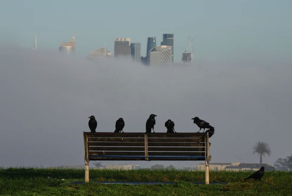 دیدنی های امروز؛ از هشتادمین سالگرد بمباران اتمی هیروشیما تا عشایر قرقیزستان نشستن کلاغ ها روی نیکمت پارک