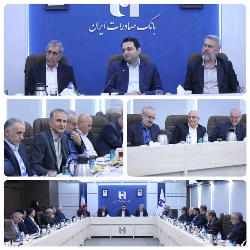 مدیرعامل بانک صادرات ایران