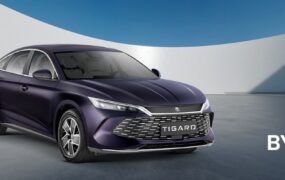 بی وای دی کین ال