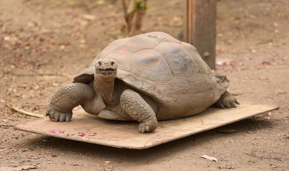 دیدنی های امروز