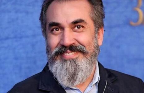 سیامک_انصاری