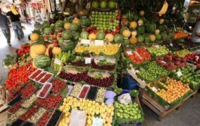 قیمت میوه