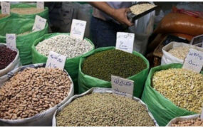 قیمت حبوبات