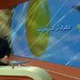 مصرف گل در سکوهای لیگ برتر صدرنشین شد