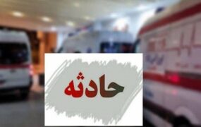 واژگونی مینی‌بوس