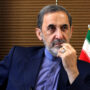 ولایتی