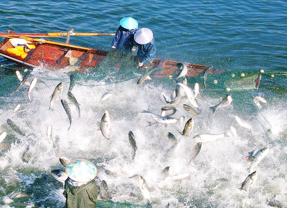 ماهیگیری از دریاچه "تیان تانگ"