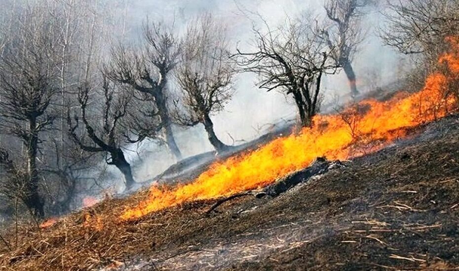 آتش‌سوزی در پناهگاه حیات وحش بیستون