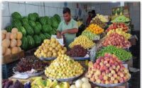باور غلط درباره میوه و کاهش وزن
