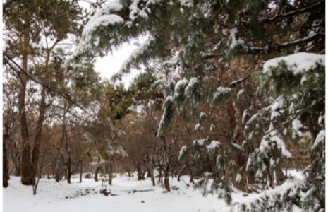 برف زیبای تابستانی در این منطقه کشور برف