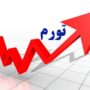 تورم سالانه کشور