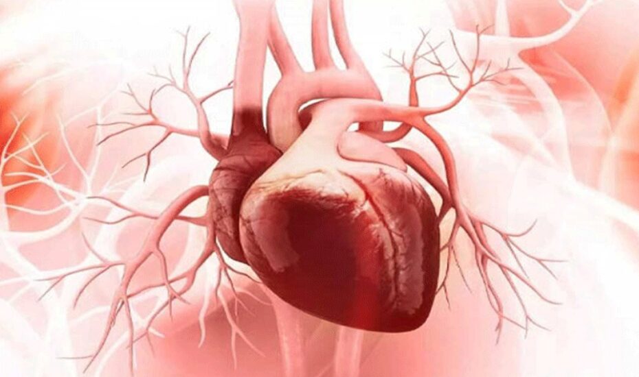 بیماری‌های قلبی آنفلوانزا