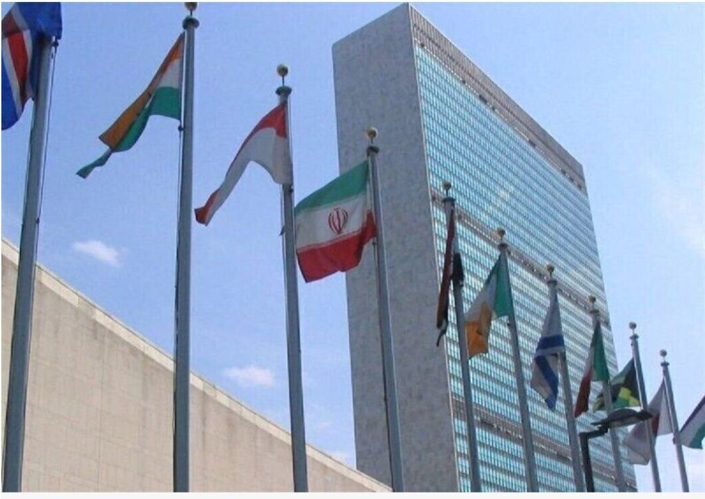 سازمان ملل