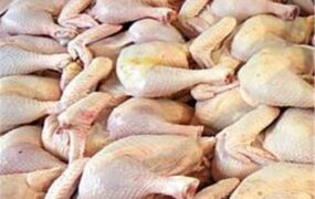 گوشت مرغ
