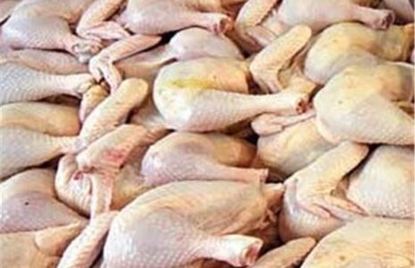 قیمت انواع گوشت مرغ در میادین گوشت مرغ