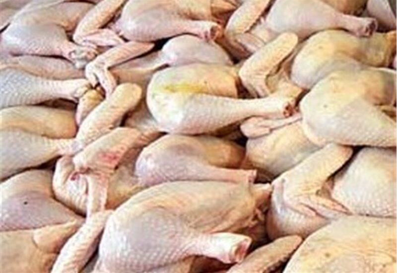 گوشت مرغ