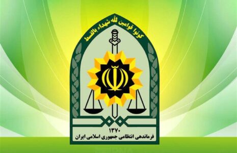 توضیح پلیس درباره بازداشت یکی از بازیگران معروف پلیس