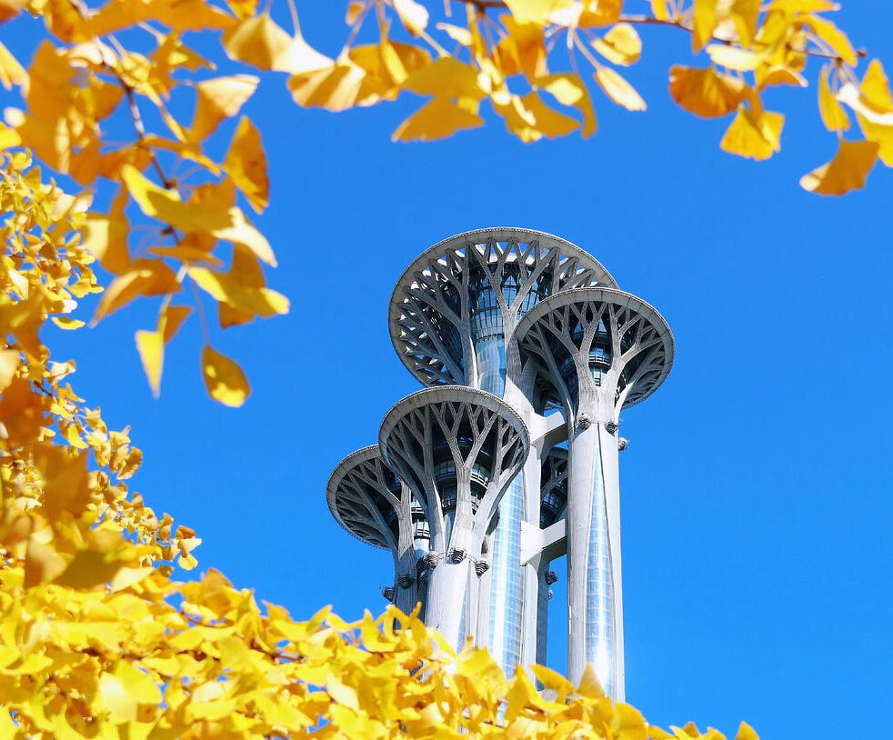 دیدنی های امروز؛ از تشییع جنازه ملکه مادر تایلند تا اعتراضات به حضور ترامپ در مالزی نمایی از برج المپیک پکن