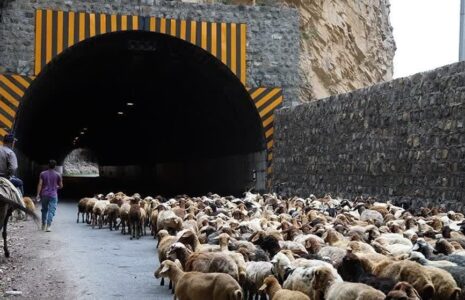 انسداد کامل جاده چالوس و آزادراه تهران ـ شمال به مدت ۲۴ ساعت! جاده چالوس