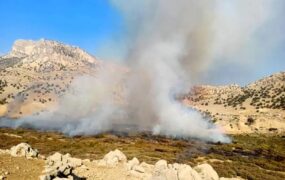 آتش‌سوزی در تالاب شیمبار خوزستان