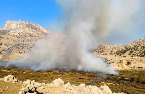 آتش‌سوزی در تالاب شیمبار خوزستان