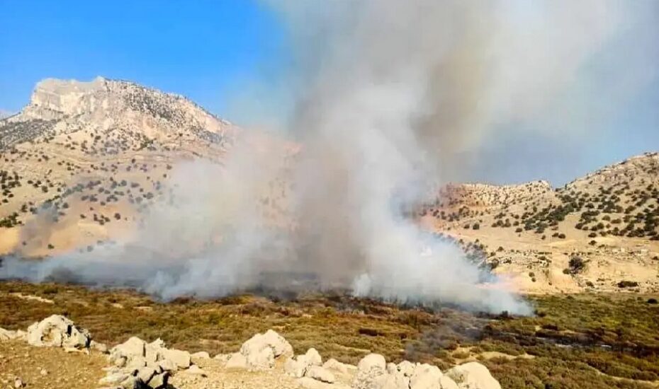 آتش‌سوزی در تالاب شیمبار خوزستان