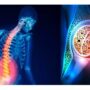 برنامه غذایی روزانه مبتلایان به استئوپنی