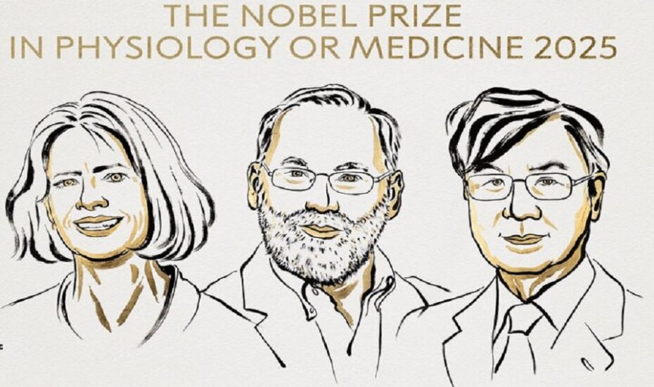 برندگان جایزه نوبل پزشکی ۲۰۲۵ معرفی شدند
