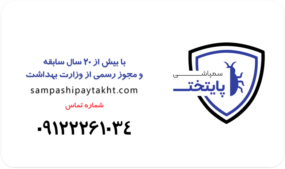 سمپاشی ساس و سوسک در تهران | راهنمای جامع + معرفی شرکت سمپاشی پایتخت
