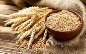 افزایش قیمت نان