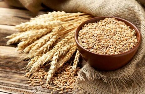 تعلل دولت در اعلام نرخ گندم/ زنگ افزایش قیمت نان را به صدا درآورد افزایش قیمت نان