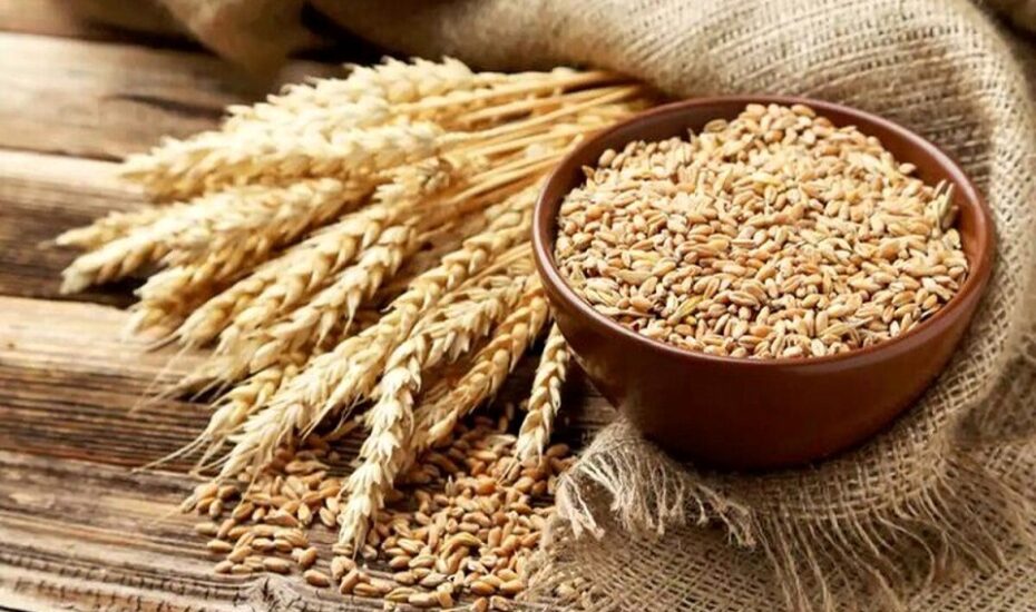 افزایش قیمت نان