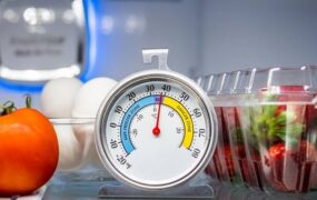 چگونه دمای یخچال صنعتی را درست تنظیم کنیم؟