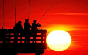 دیدنی های امروز؛ از جنگ اوکراین تا یادبود آن در کره شمالی دیدنی های امروز