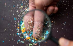 راهکارهای ساده برای مقابله با میکروپلاستیک‌ها