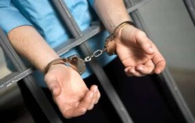 سرقت لوکس‌ترین اکسسوری صاحبش را به دردسر انداخت