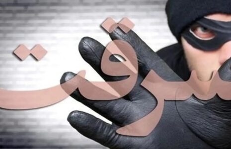 سرقت وحشیانه از یک زن