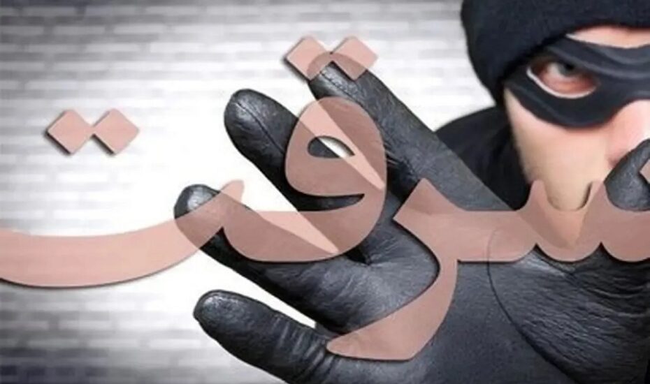 سرقت وحشیانه از یک زن/ فیلم سرقت وحشیانه از یک زن