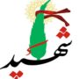 شهادت دو نیروی سپاه درحمله تروریستی