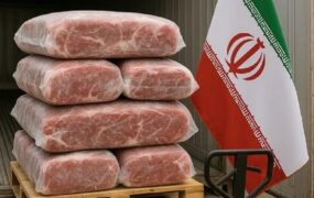 قیمت جدید گوشت منجمد وارداتی قیمت جدید گوشت منجمد وارداتی