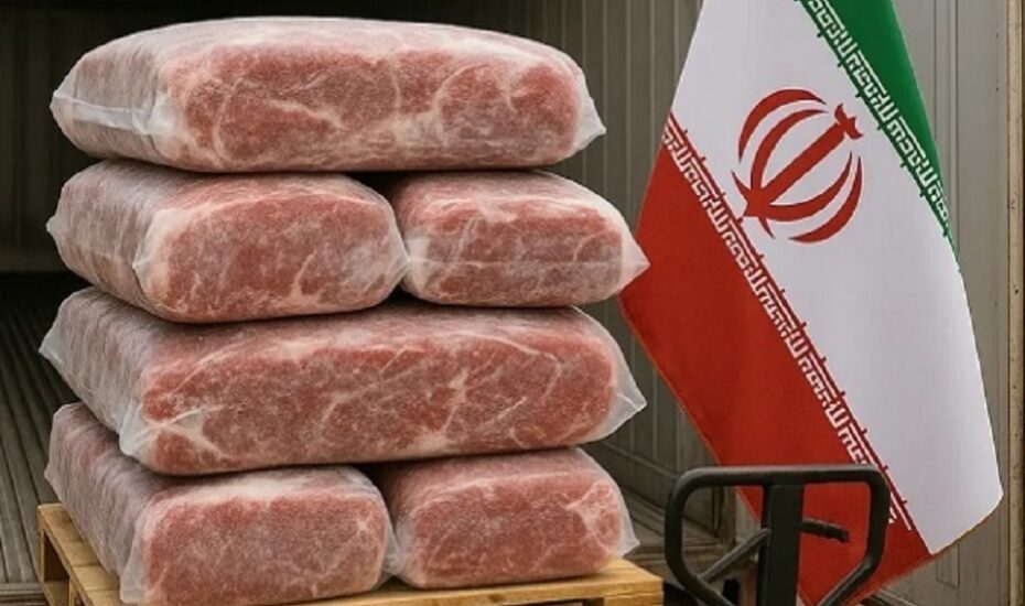 قیمت جدید گوشت منجمد وارداتی