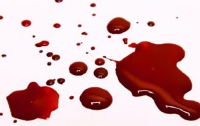 مقتول به خواهرم فحاشی کرد