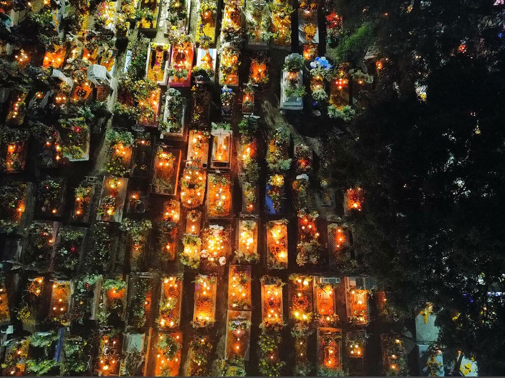 دیدنی های امروز؛ از تلفات زلزله شمال افغانستان تا یوز آسیایی باغ وحش انگلیس روشن کردن شمع بر سر قبور گورستان شهر مکزیکوسیتی در روز مردگان